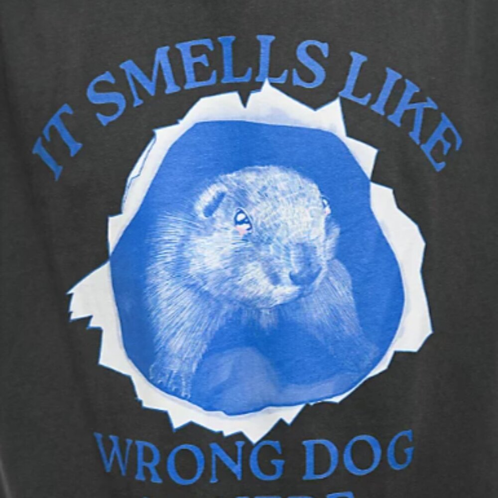 A.LAB Wrong Dog Washed Black T-Shirt - Picture 2 of 6
